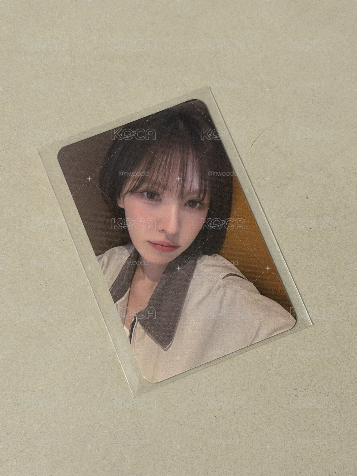 WENDY 高雄櫻花季限定卡