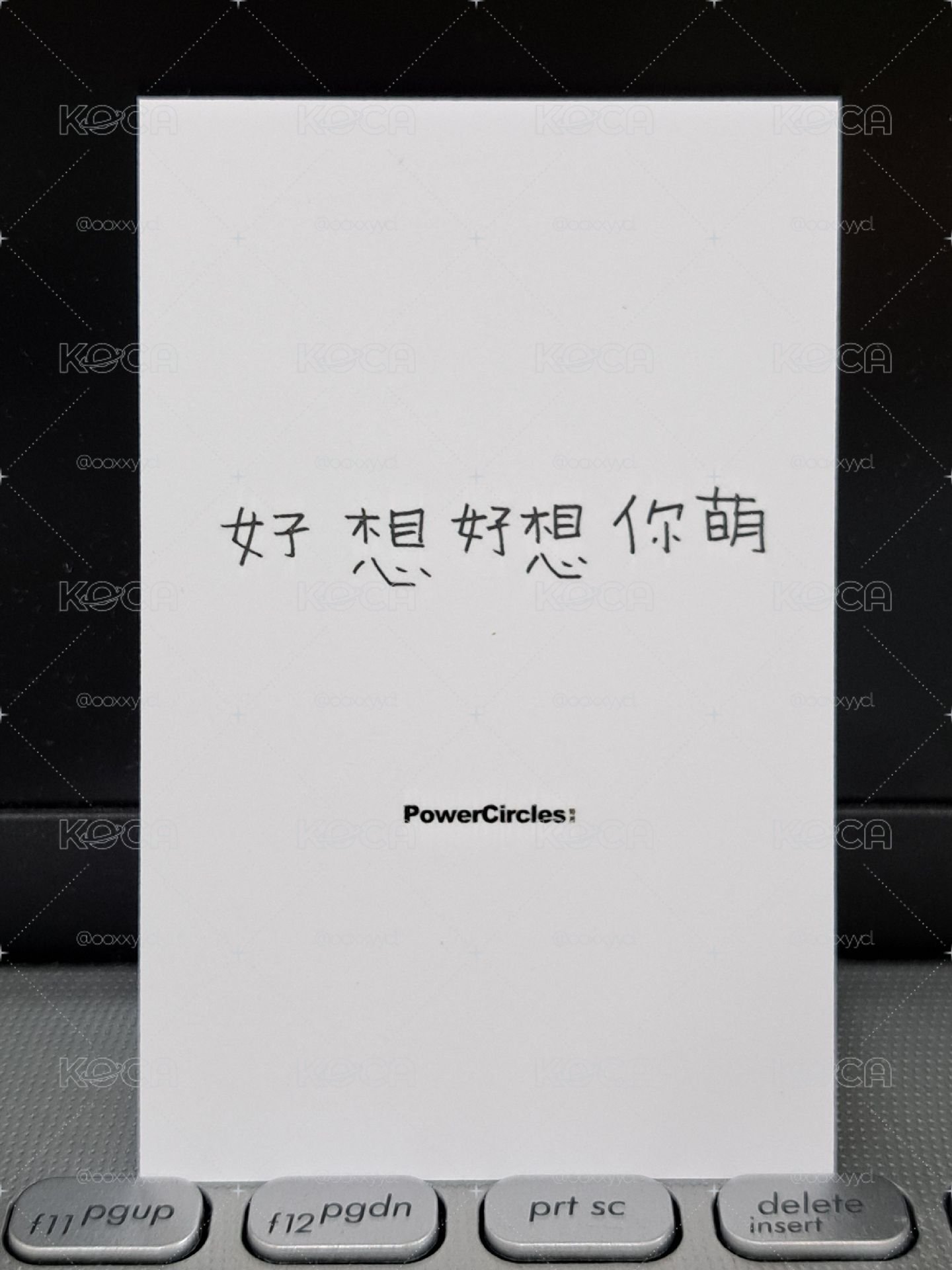 LIZ 雜誌卡 好想好想你萌