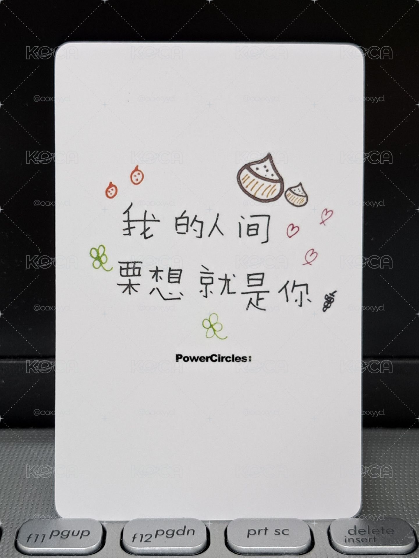 LIZ 雜誌卡 我的人間栗想就是你