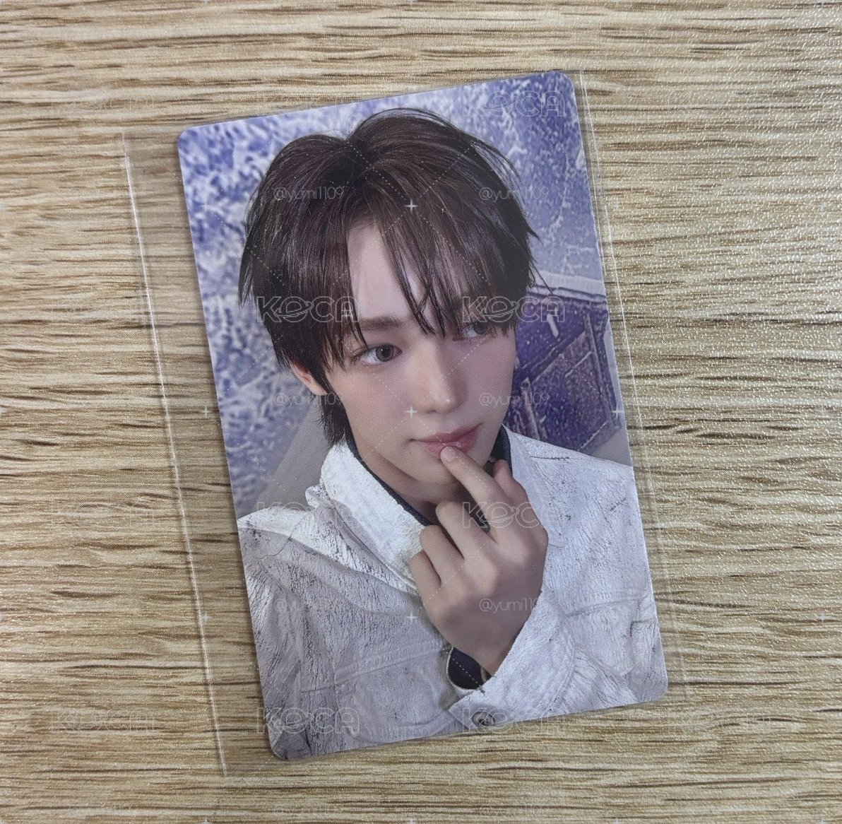 迷五 wvs 韓振