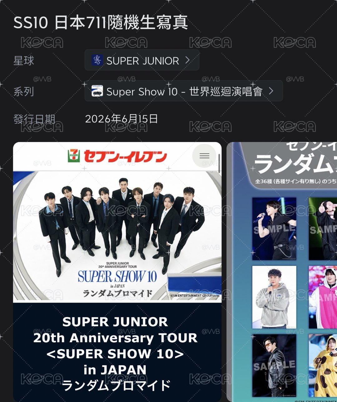 SJ 日本SS10 711 生寫真 L判