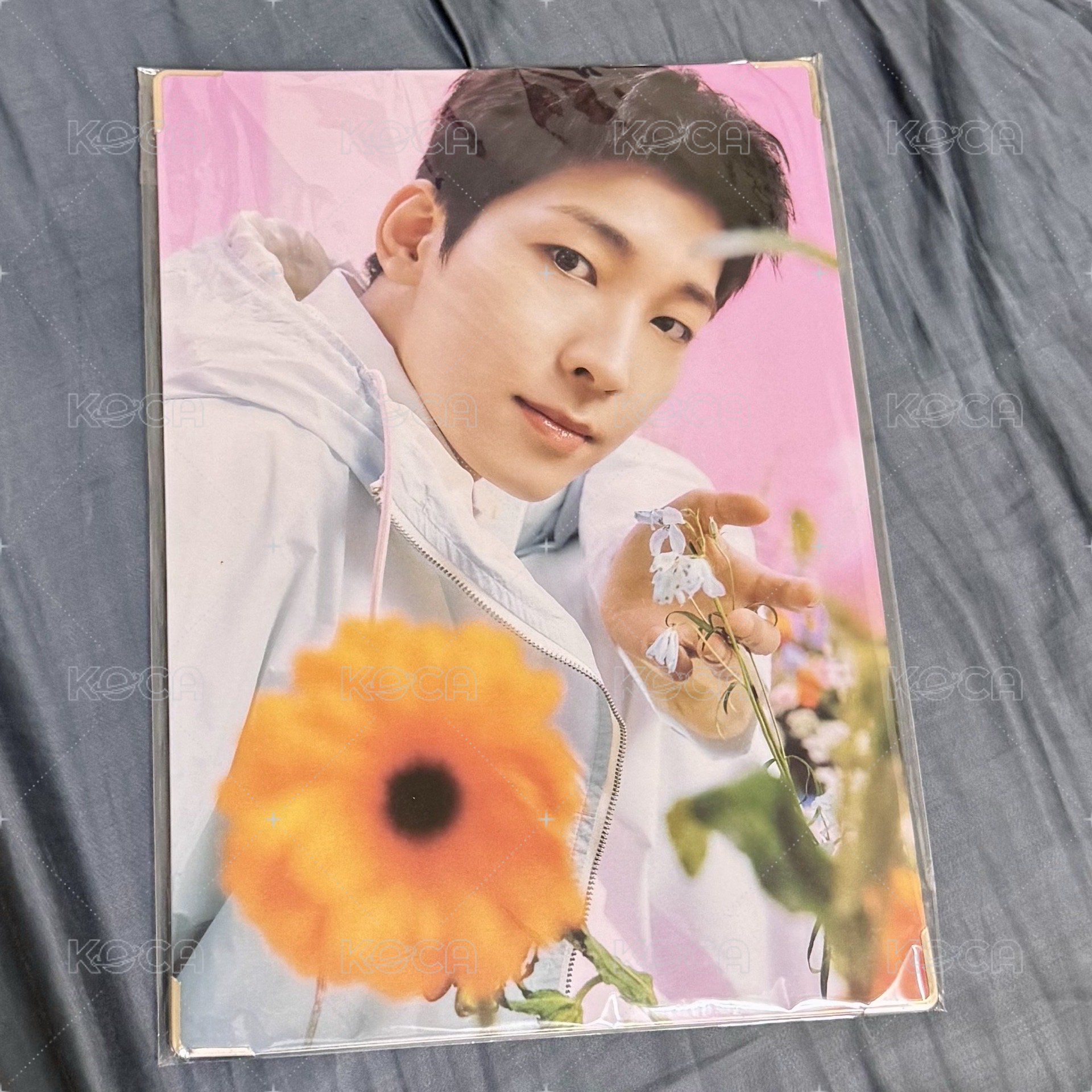 全圓佑WONWOO