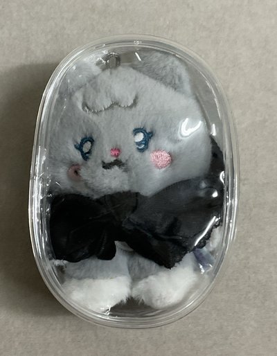 刷吊飾娃+卡+娃包