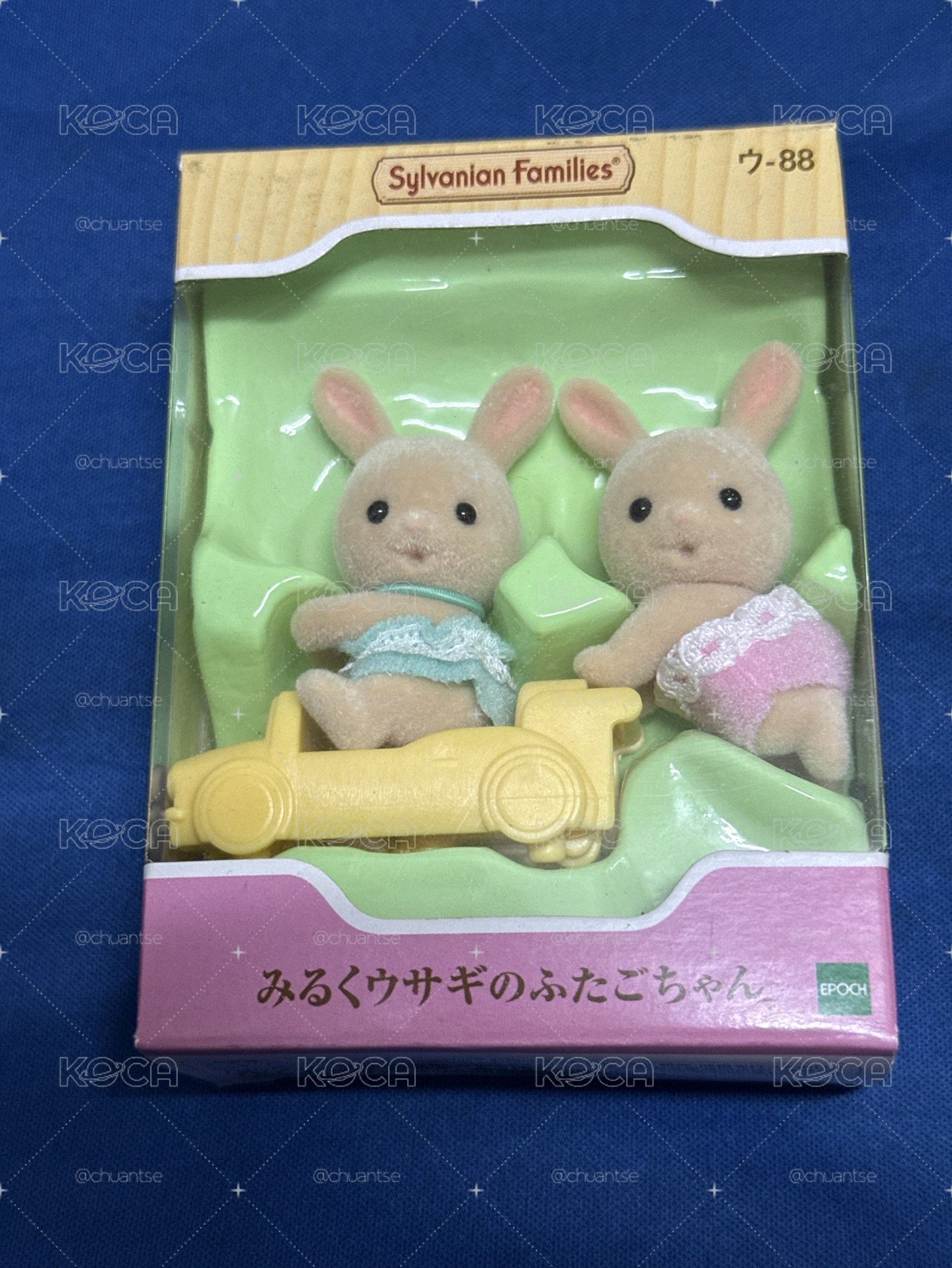 牛奶兔雙胞胎