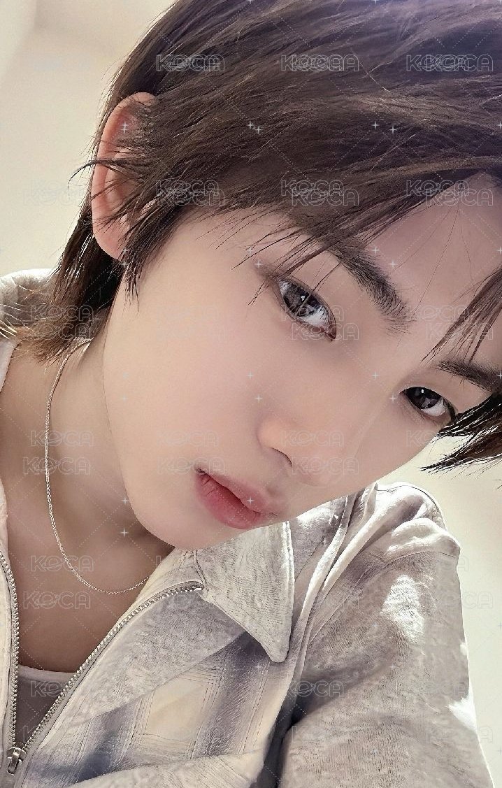 訓🐽520卡背