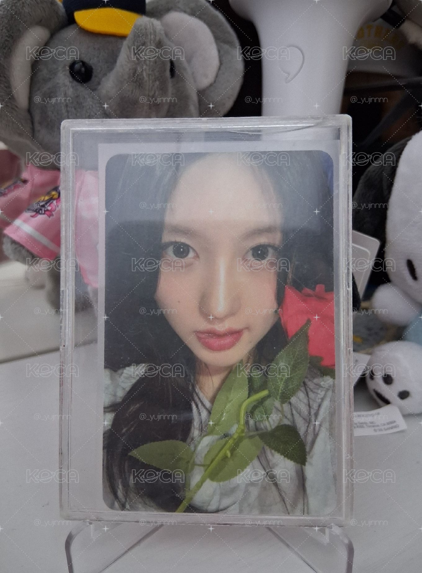 特典卡秋