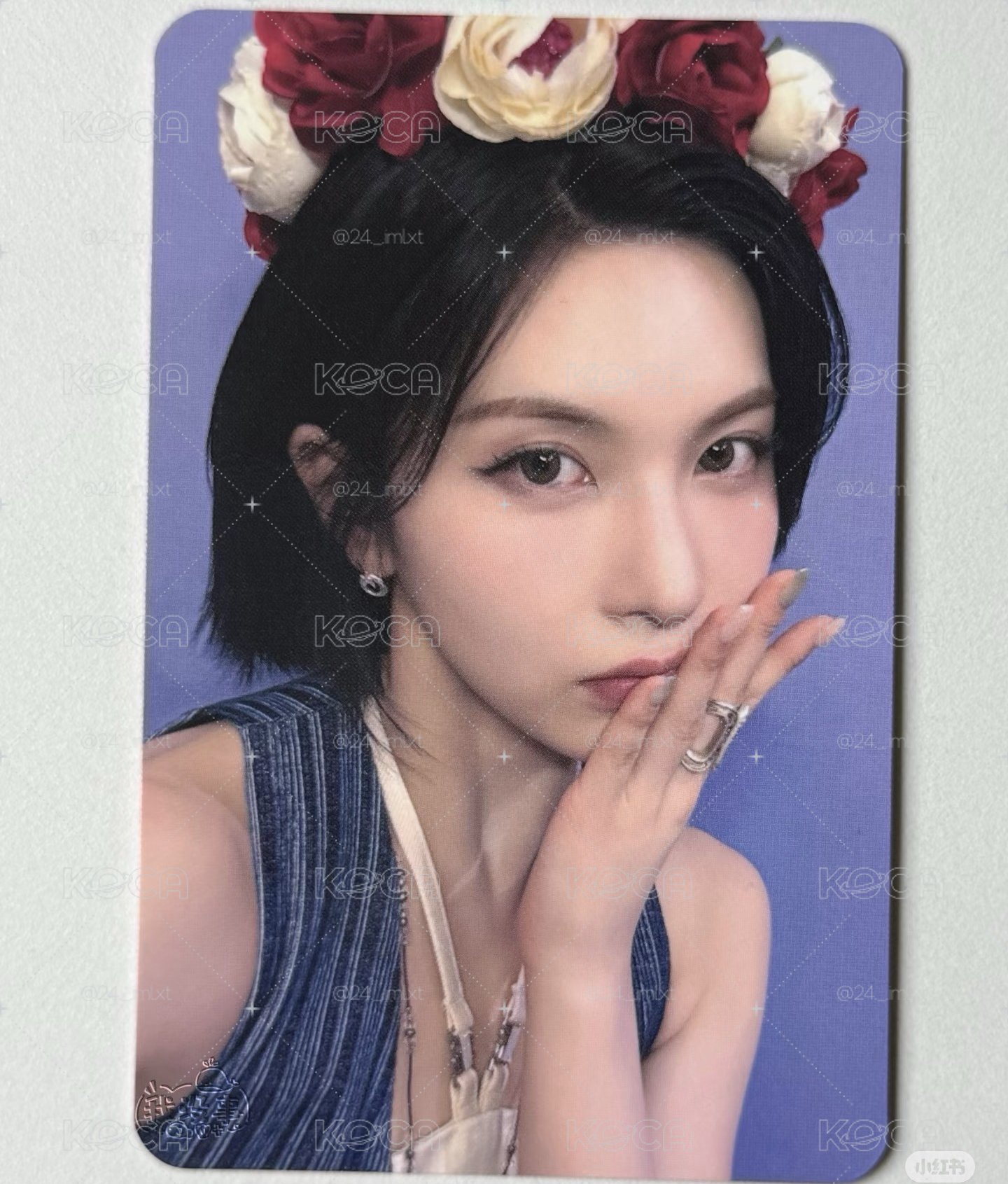 玫瑰花環玫瑰熊導覽裴