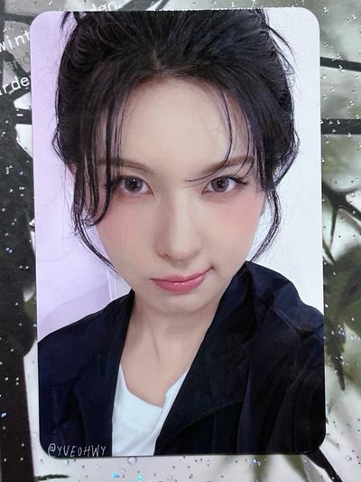 玫瑰花環玫瑰熊導覽裴
