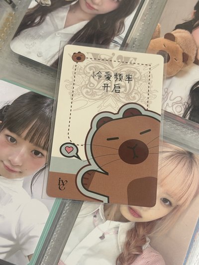 卡皮巴拉怜 中背