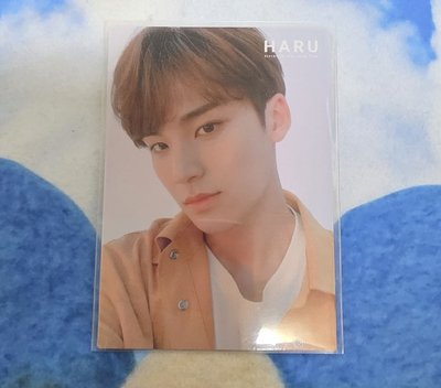 HARU 隨機卡 _ Mingyu 