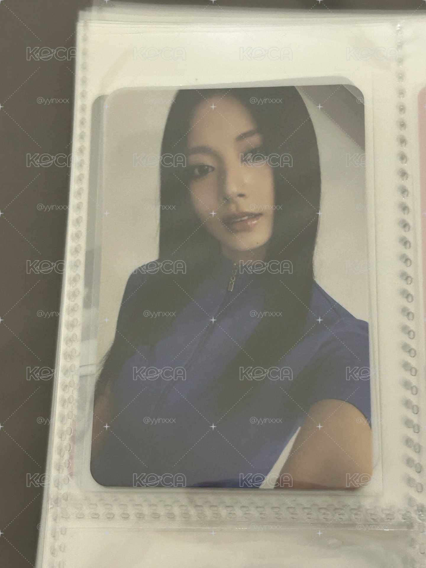 子 正規4