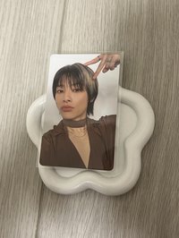 狗狗寅