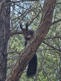 出清SJ週邊