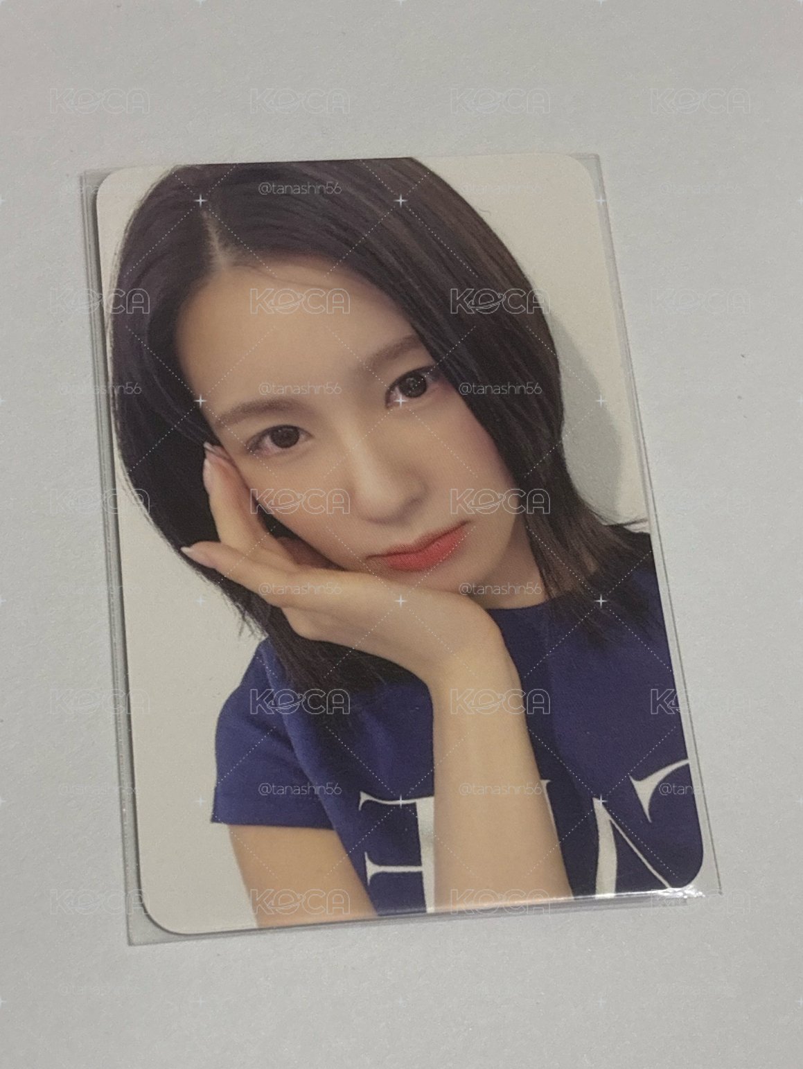 wm麵