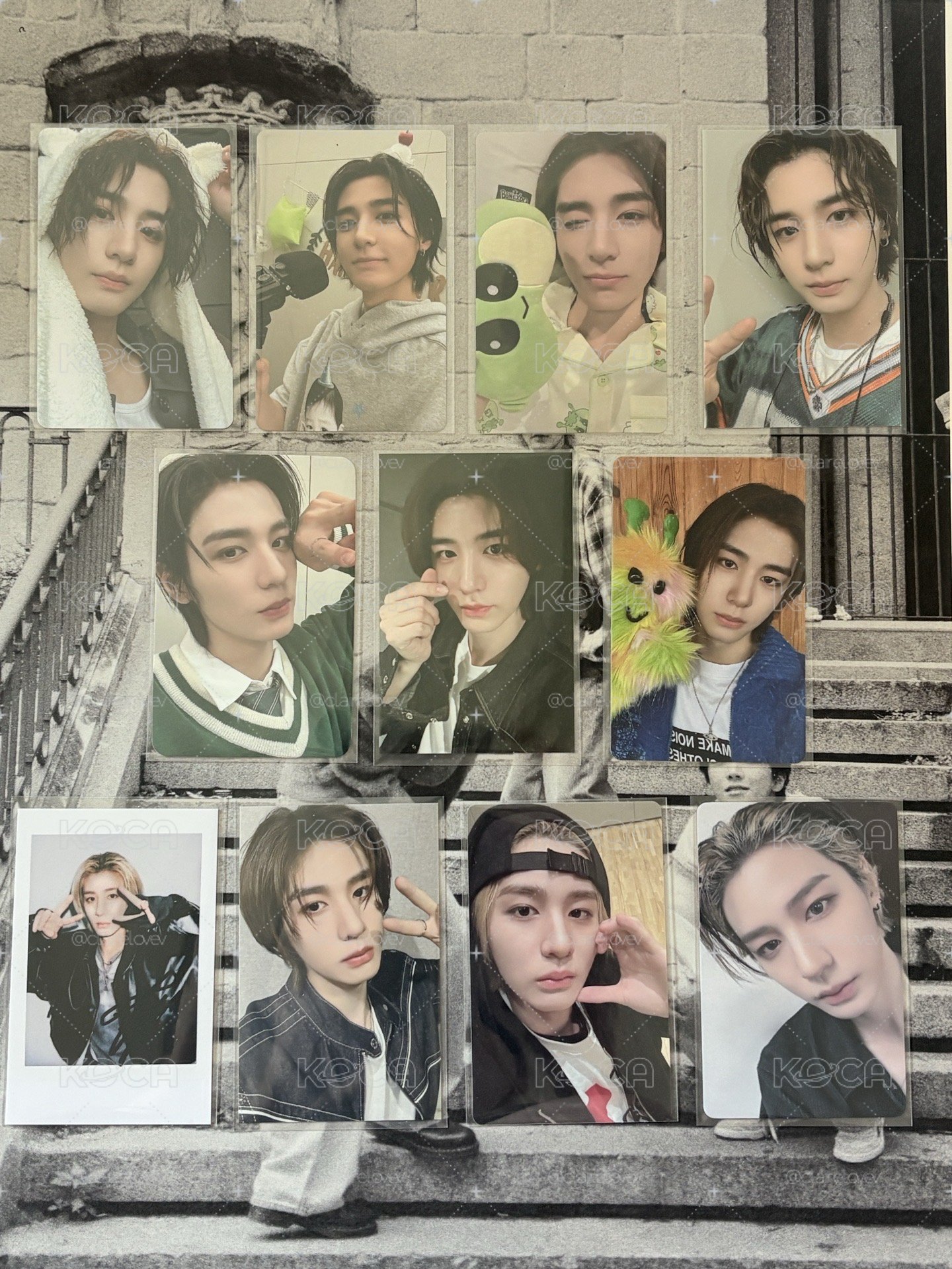 Leehan🐰