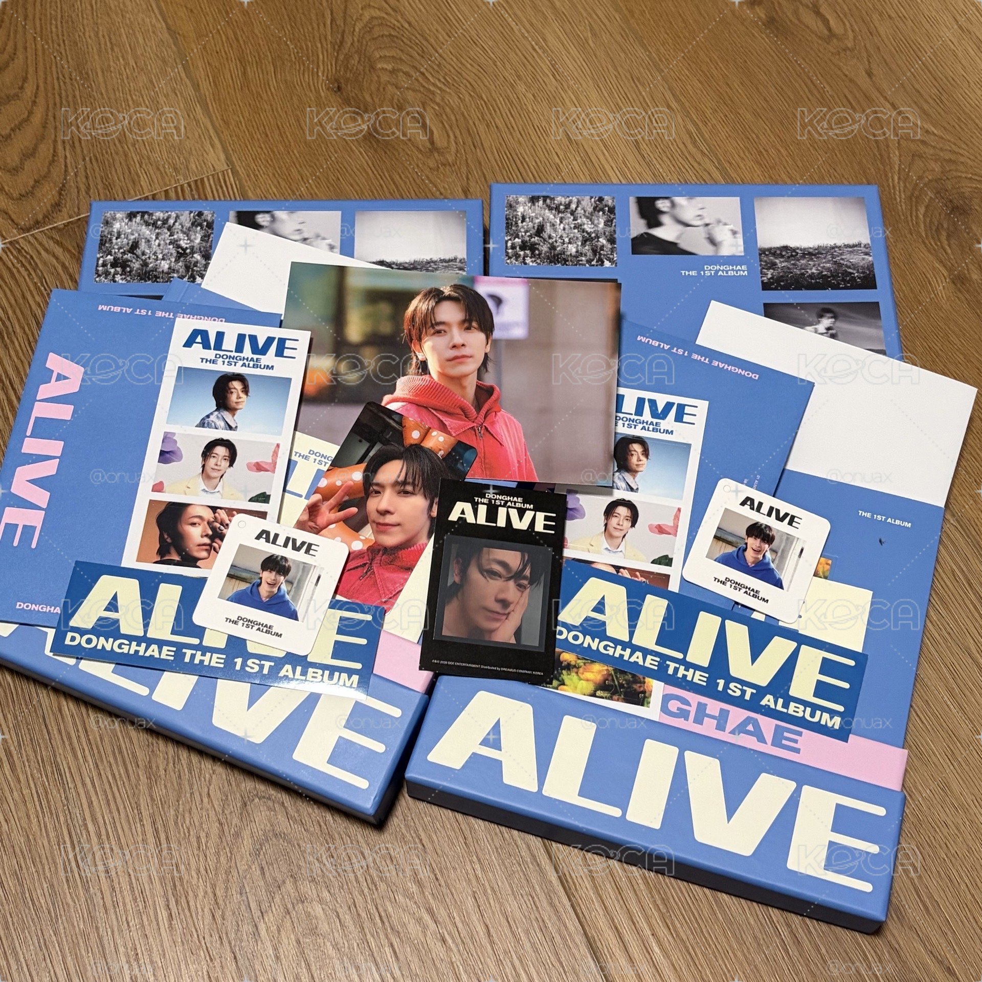 東海 ALIVE 兩專