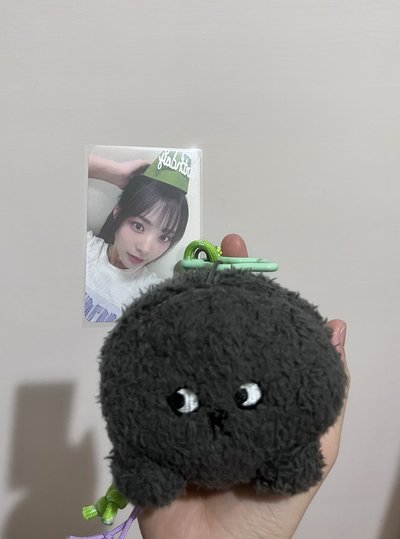 QWER燕俗頭含卡