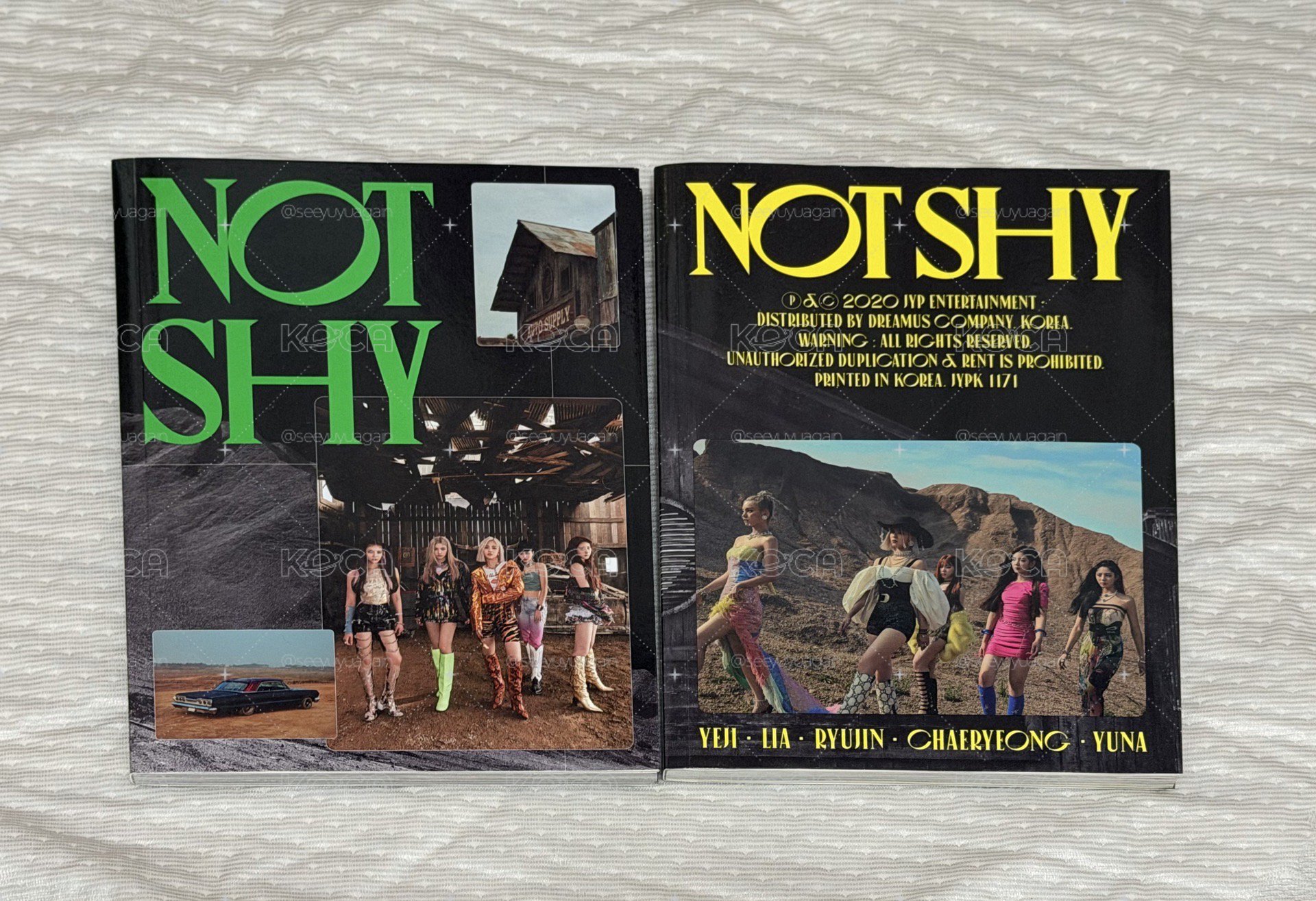 NOT SHY 空專2入組