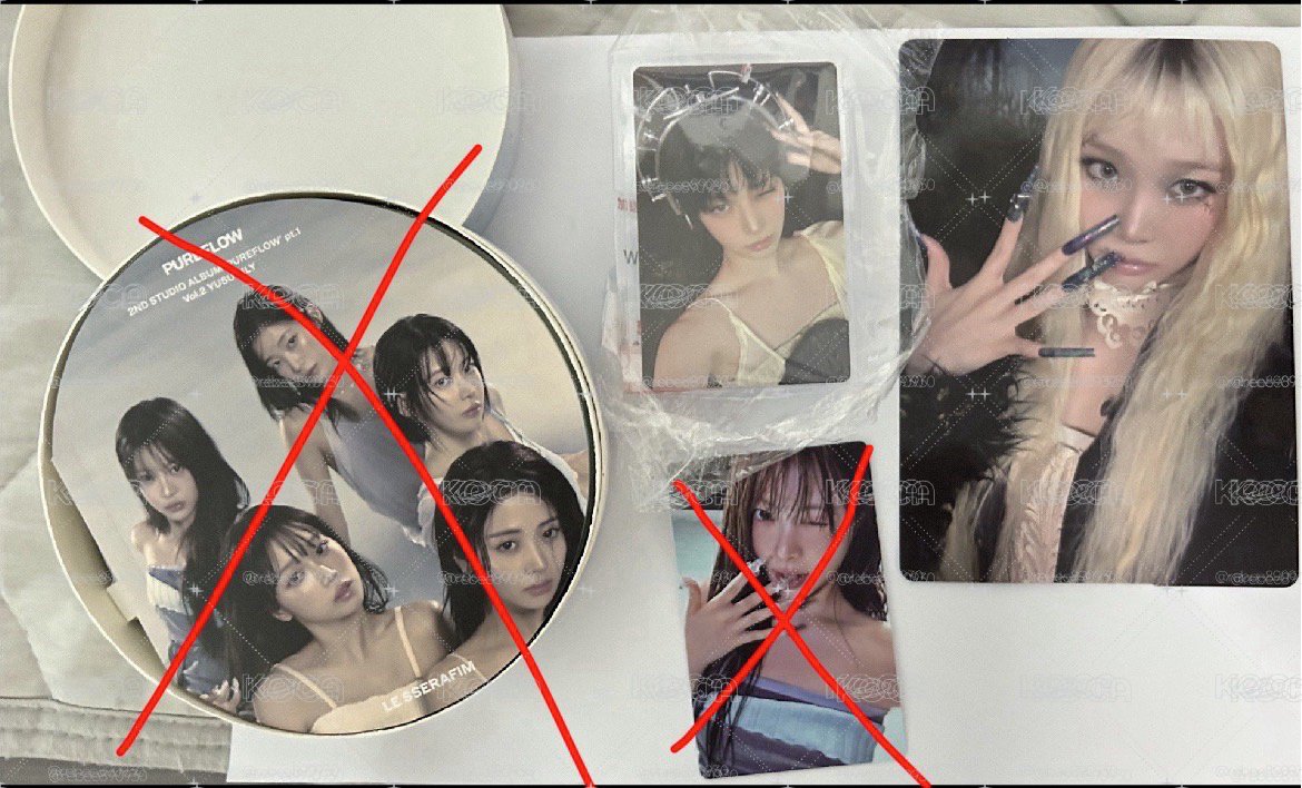 wvs特典