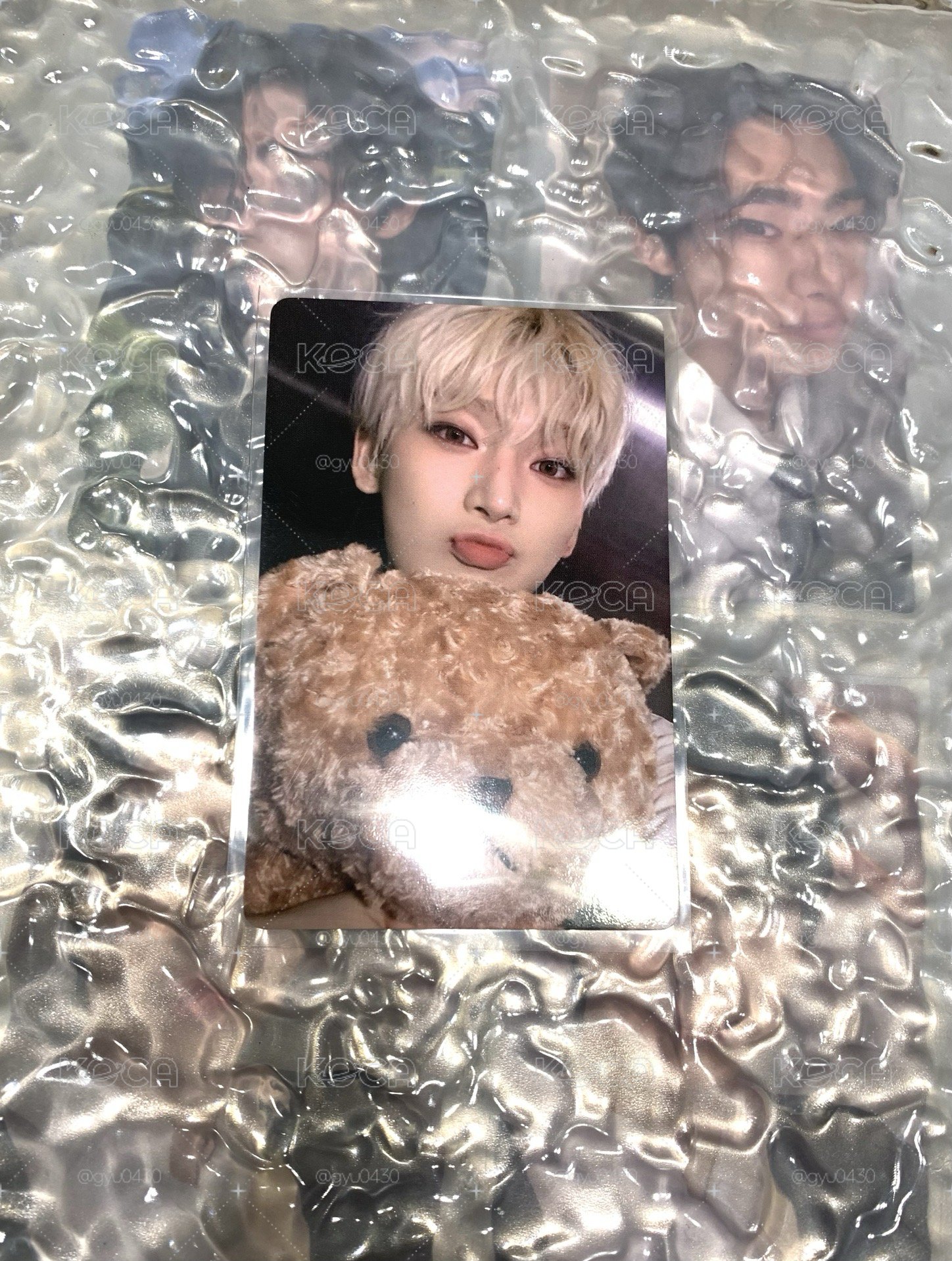 抱熊禹 