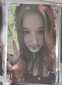 fans紗