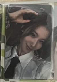 狗耳紗