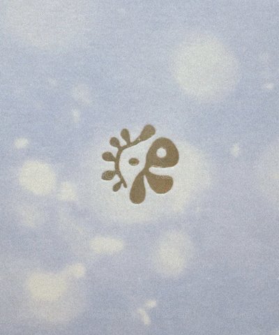 現貨-藍唇專卡 一套無閃卡✨
