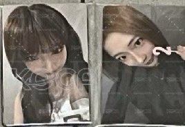 wvs二週年AB版各一套12張