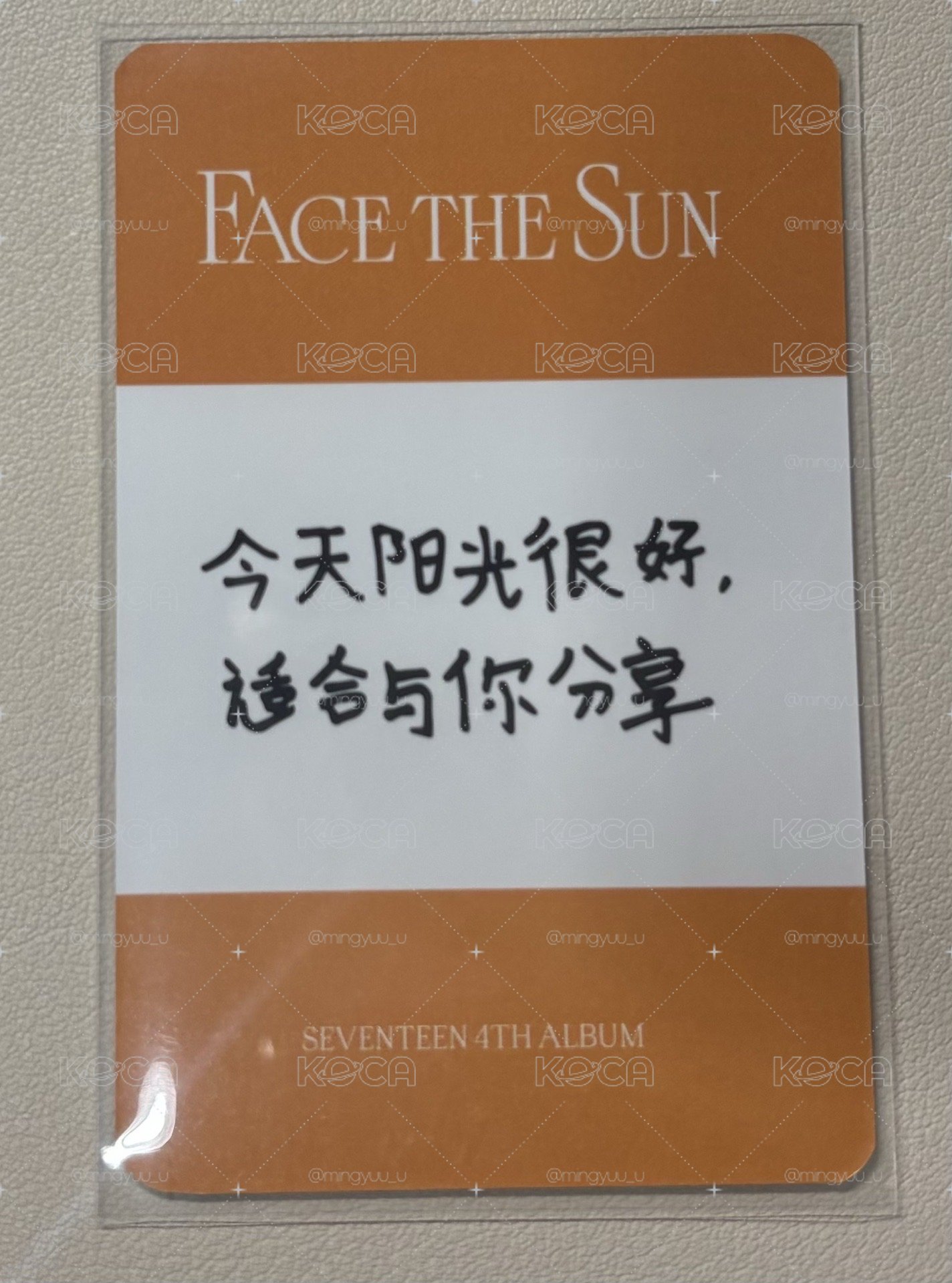 今天陽光很好,適合與你分享🐰