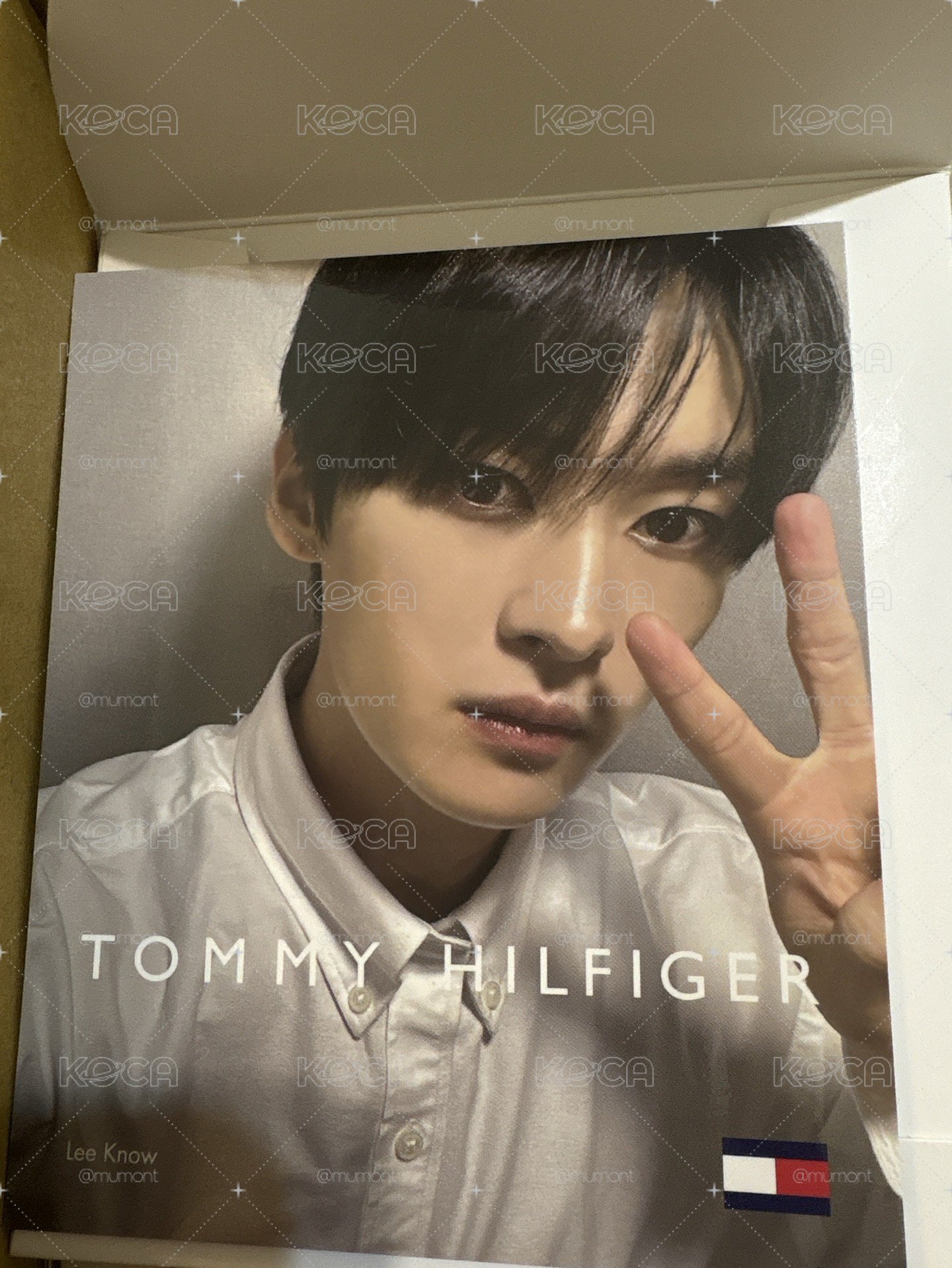 tommy hilfiger X stray kid lee know