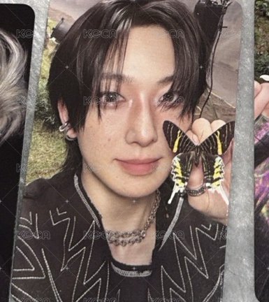FUMA🦋B版