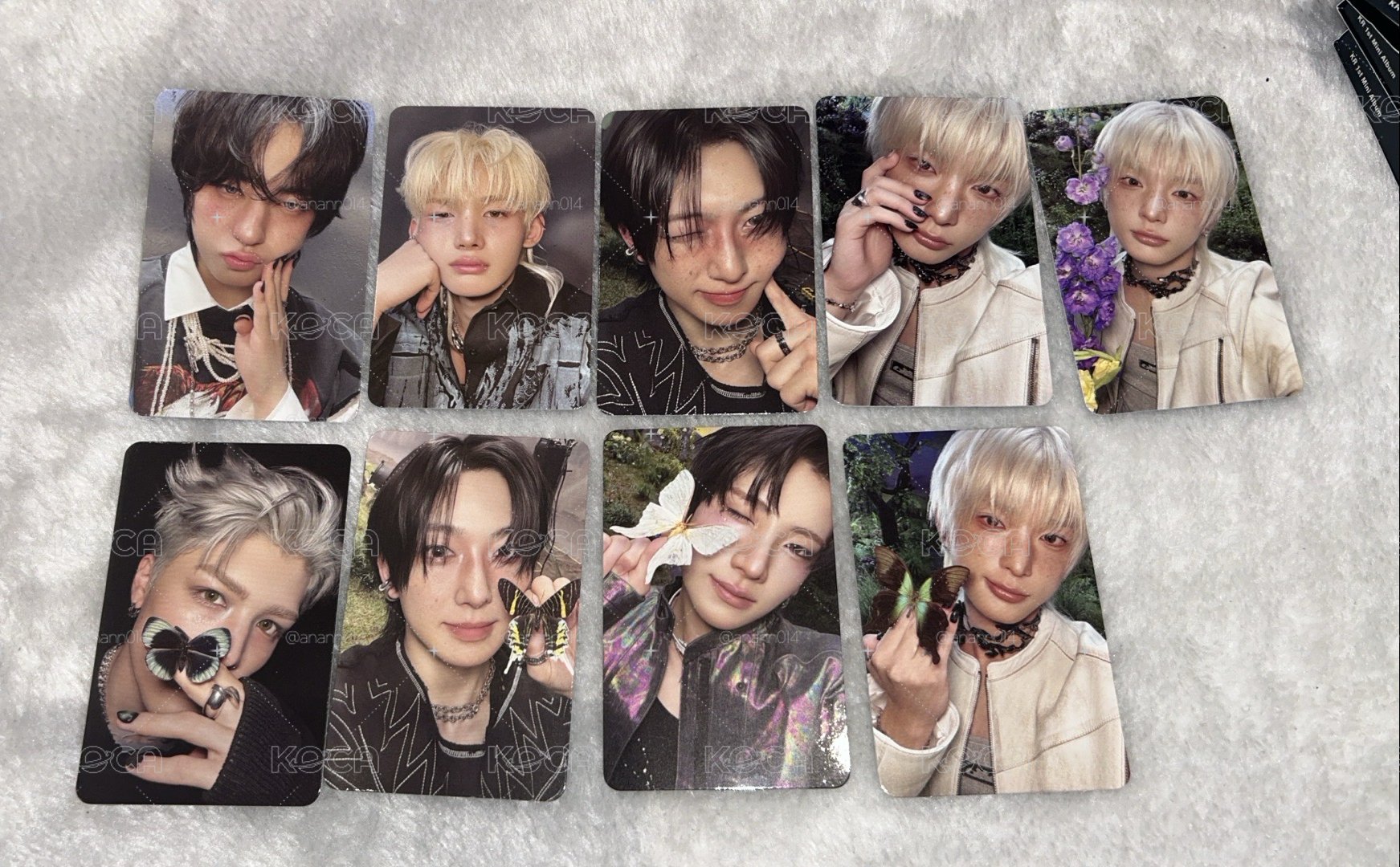 綁物💛BTL 單封 ROAR 專卡