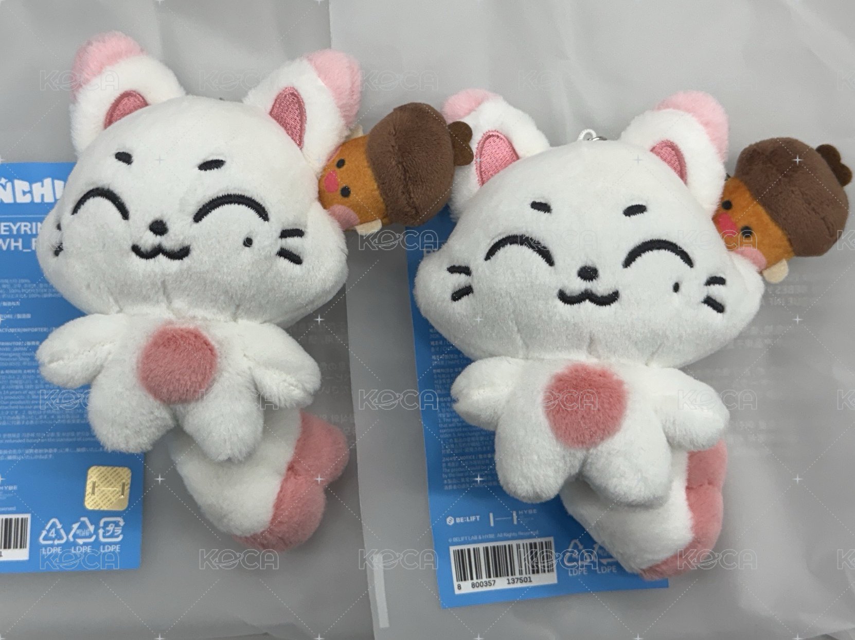 KISHU+SnoWe /1