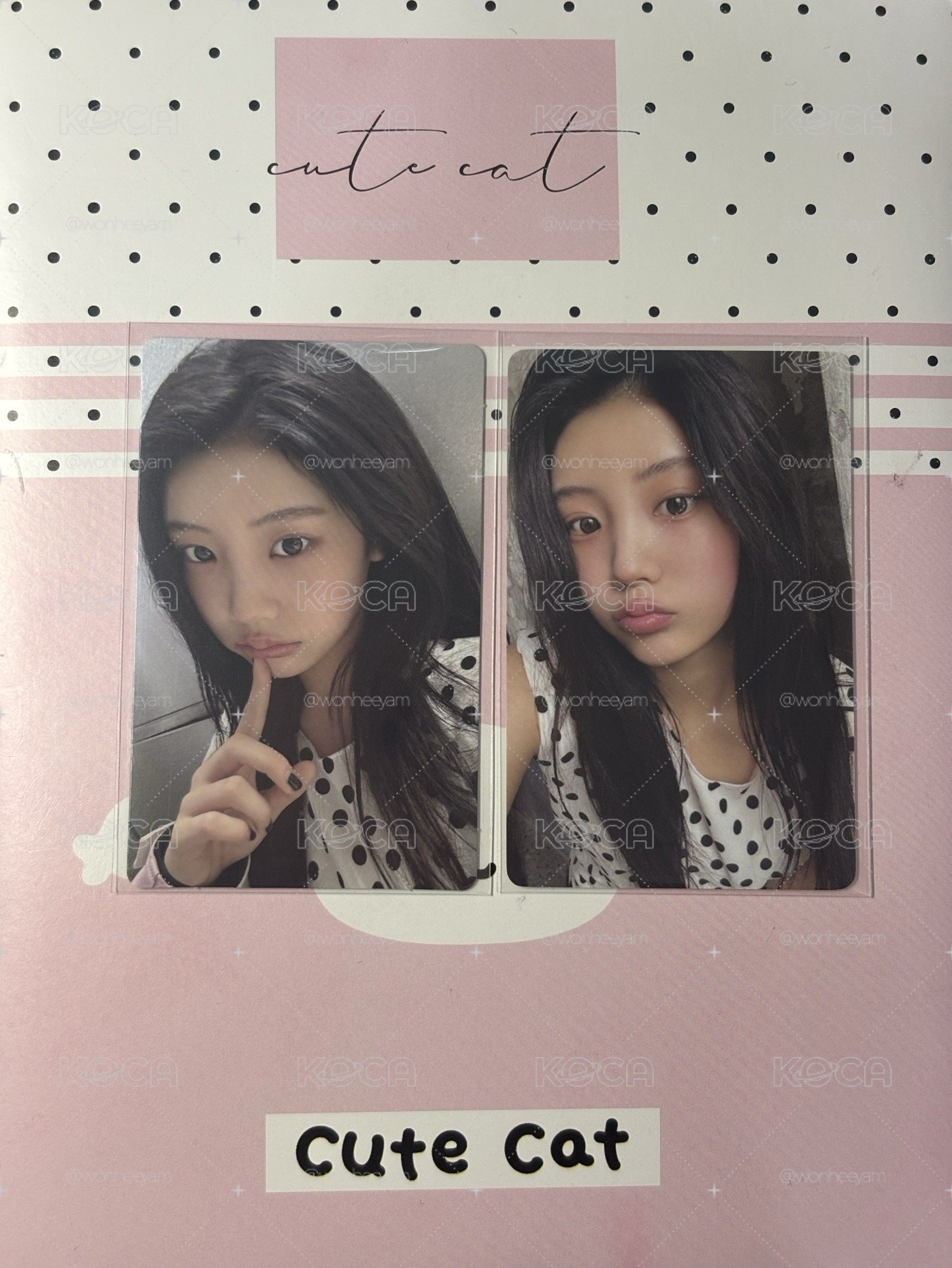 禧中背+kkt