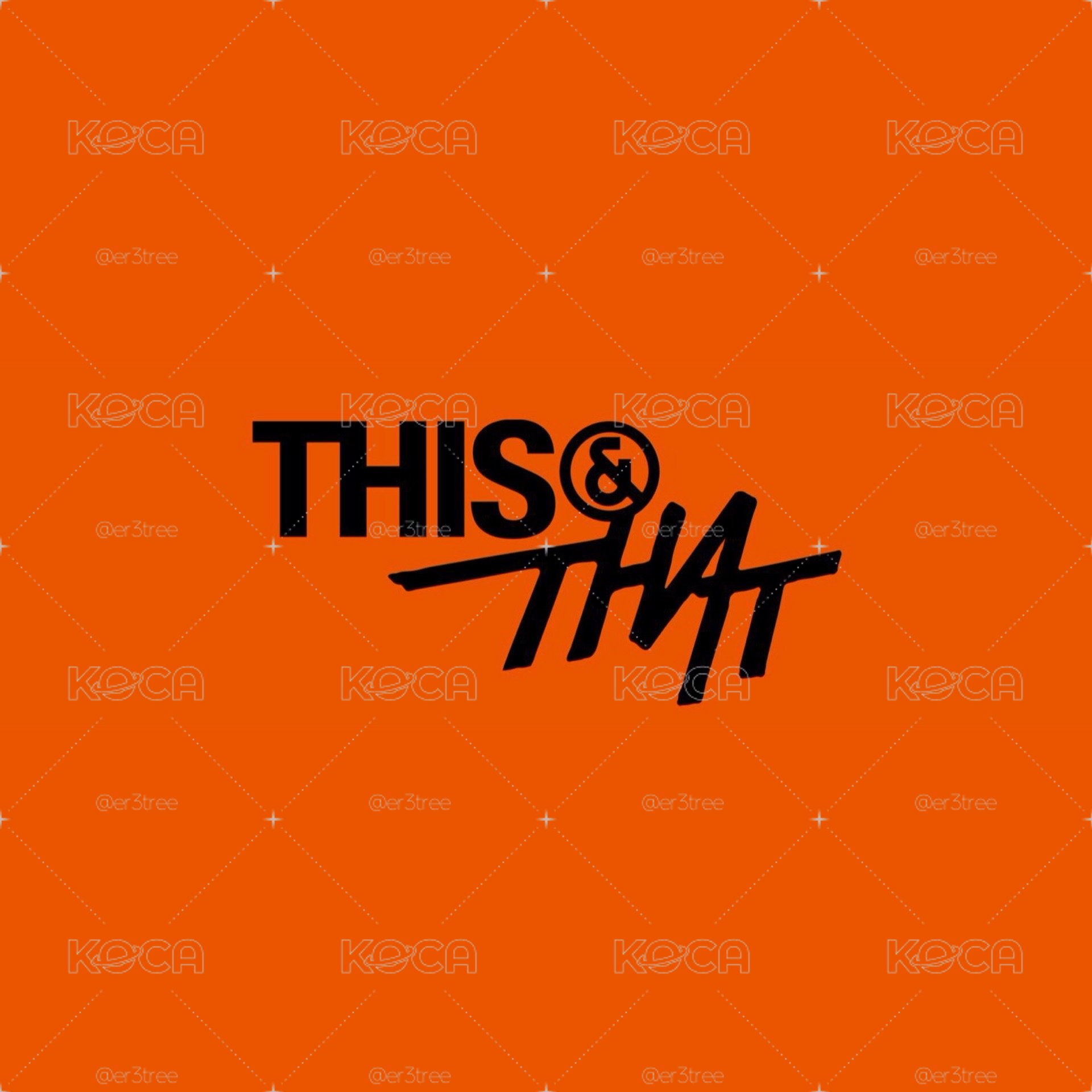 Stray Kids THIS & THAT 未拆專（無通路特典）