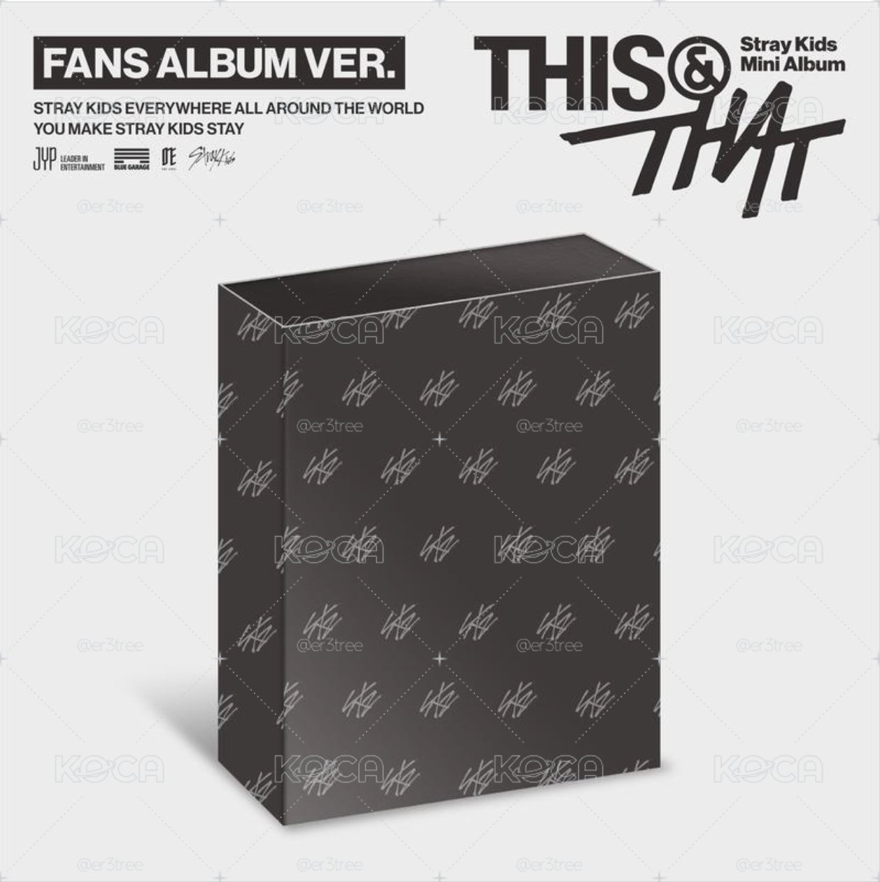 Stray Kids THIS & THAT 未拆專（無通路特典）
