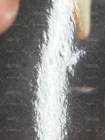 寶怪 1週年 賢