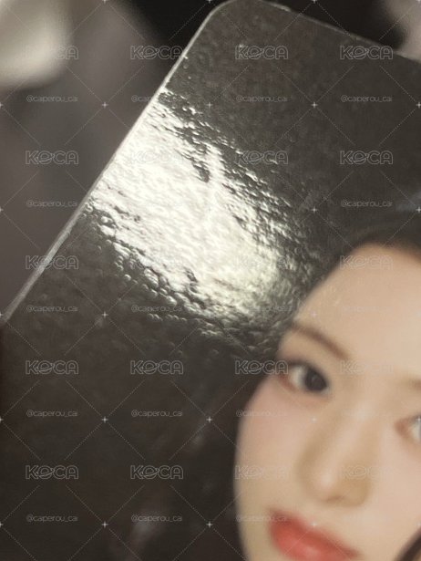 寶怪 1週年 賢