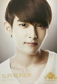 SMTOWN LIVE '10 in TOKYO 明信片 