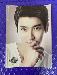 LIVE’10 SIWON