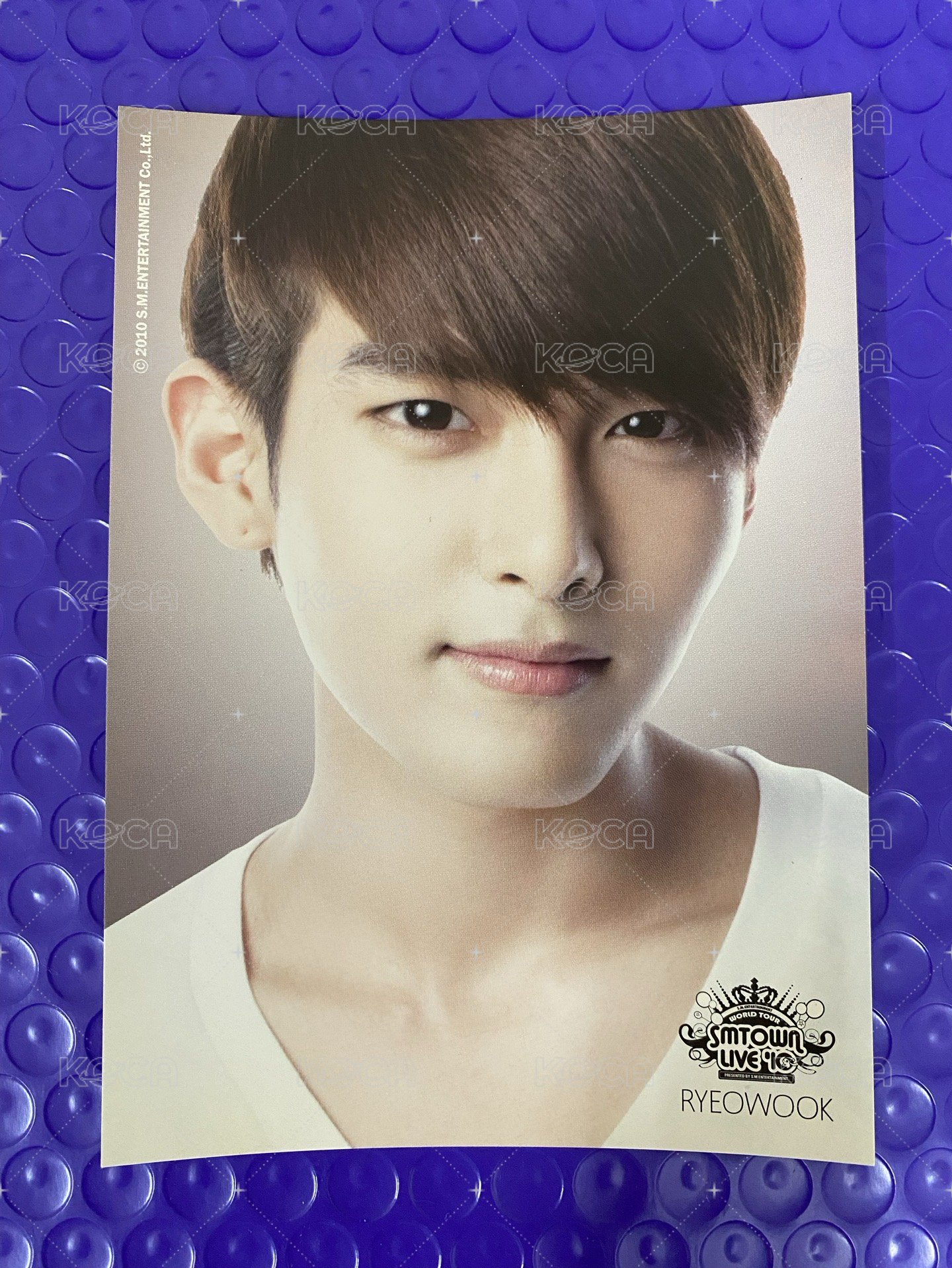 LIVE’10 RYEOWOOK
