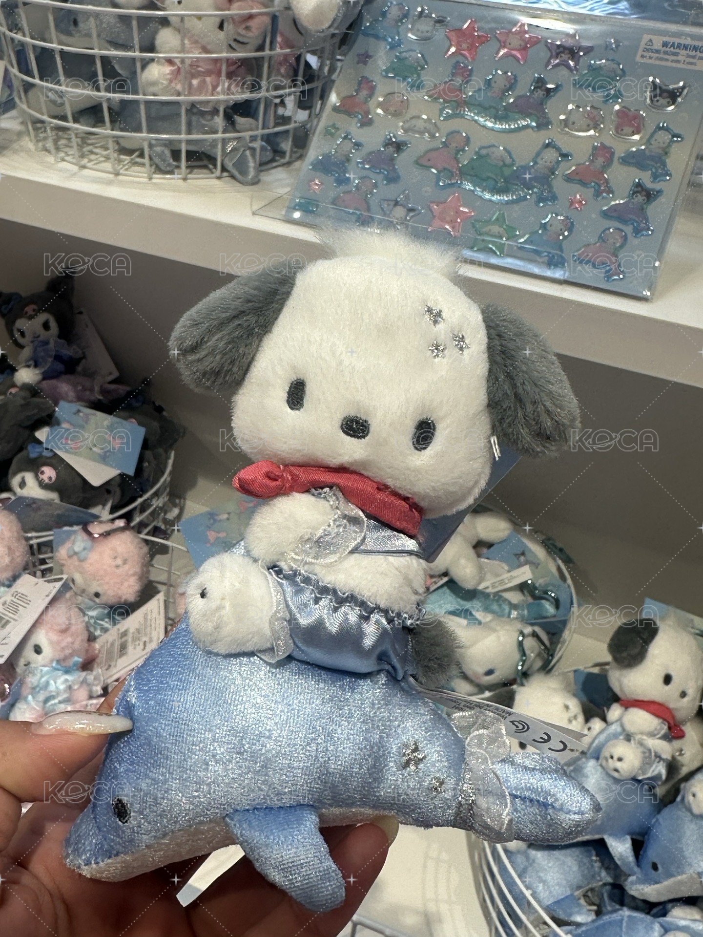 帕恰狗娃