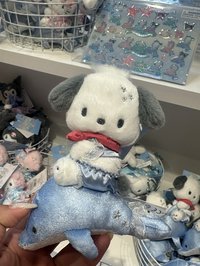 帕恰狗娃