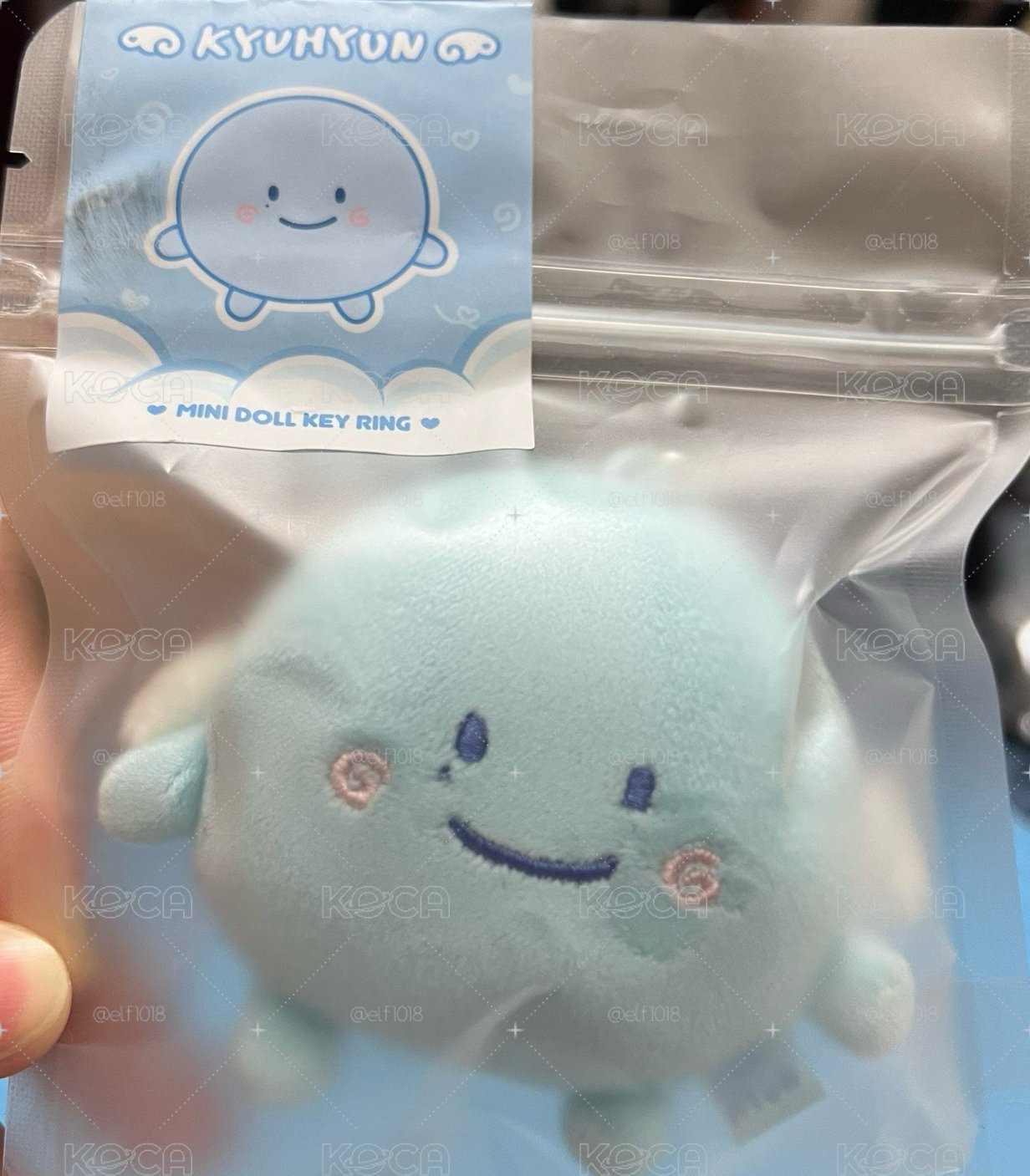19糰 圭