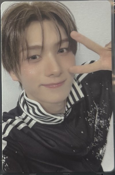 M2U 🐹+K4 🐰
