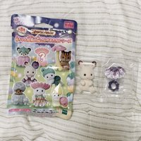 小可可兔