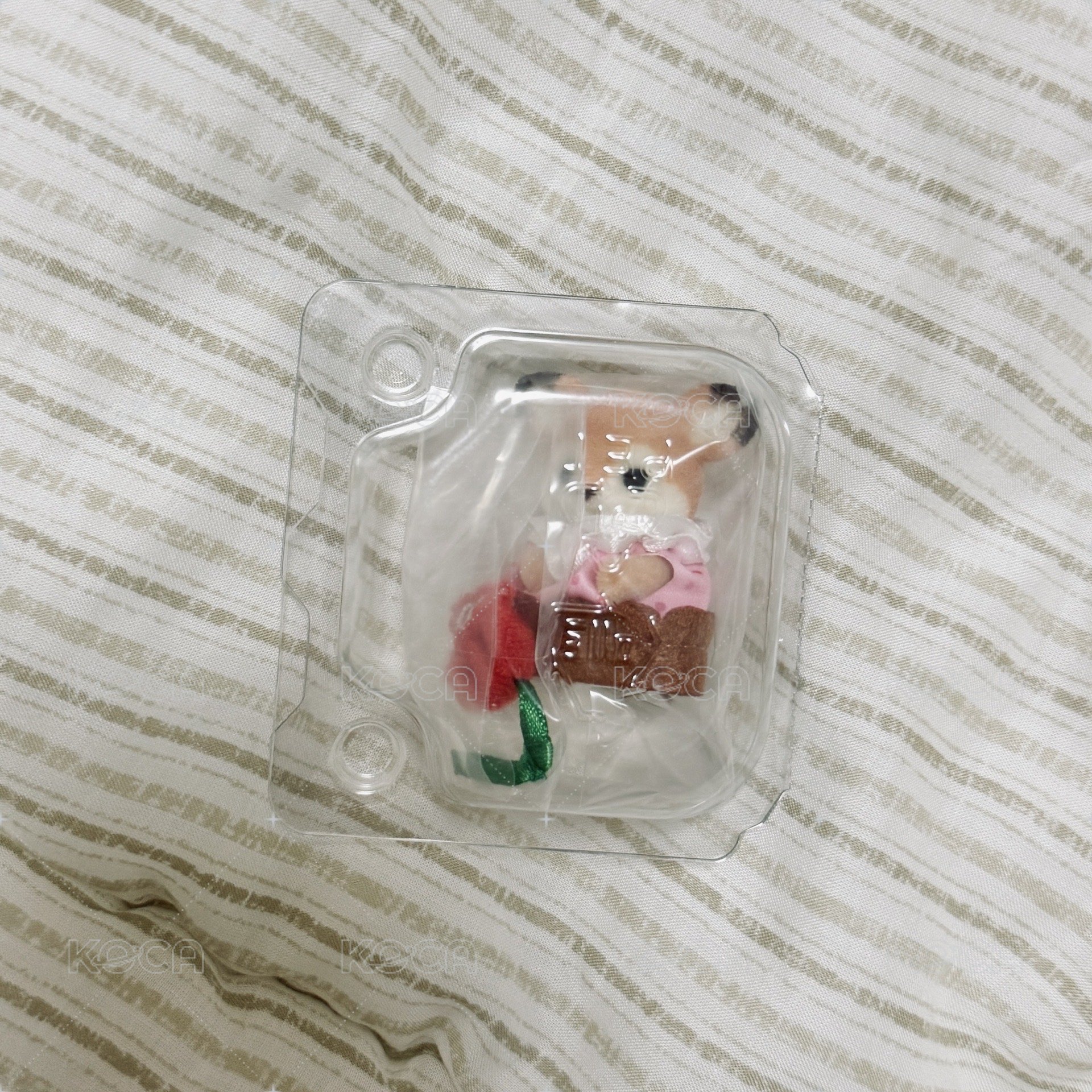 小梅花鹿