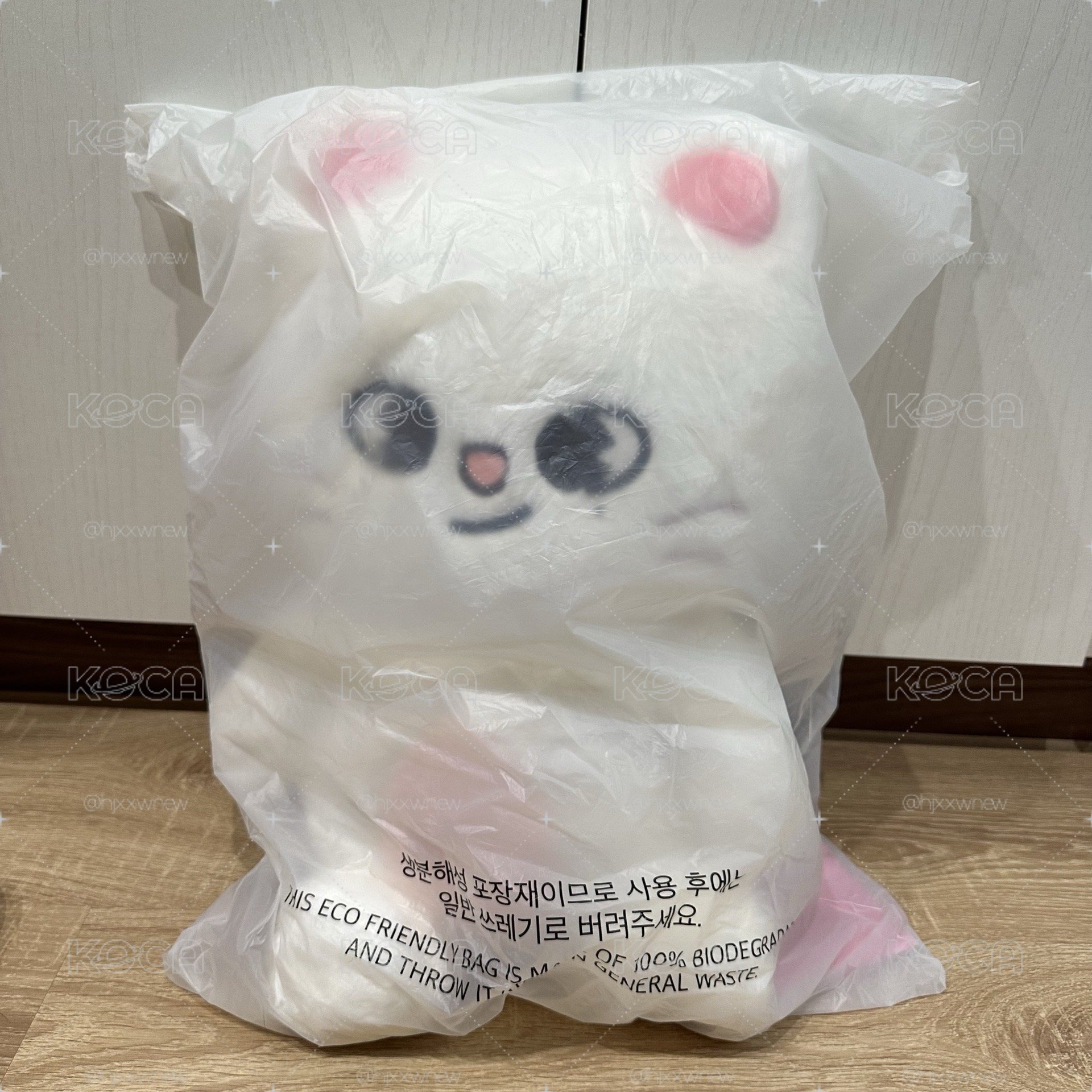 五期飯咪🥟泰迪娃全新未拆 直出