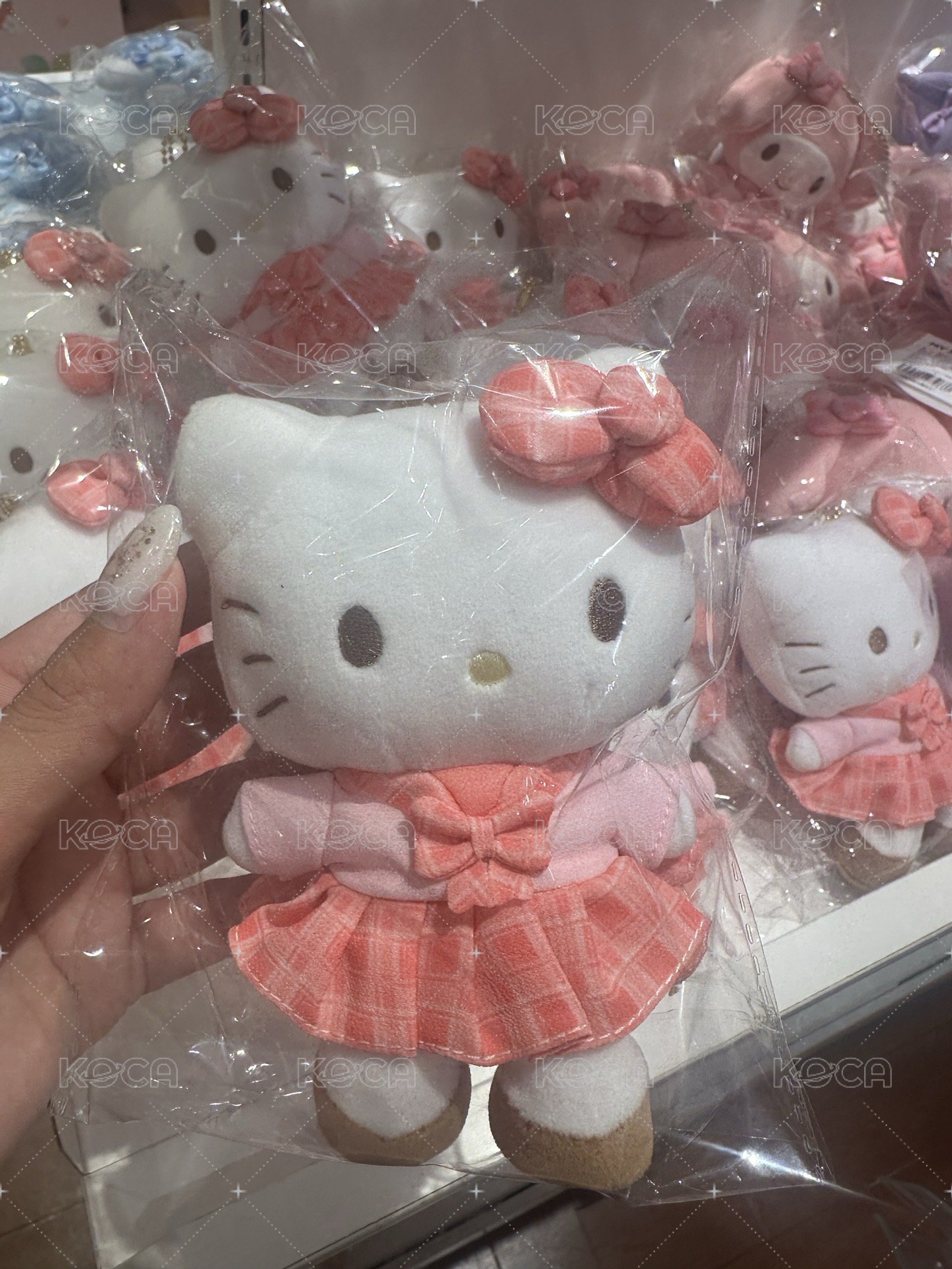 凱蒂貓