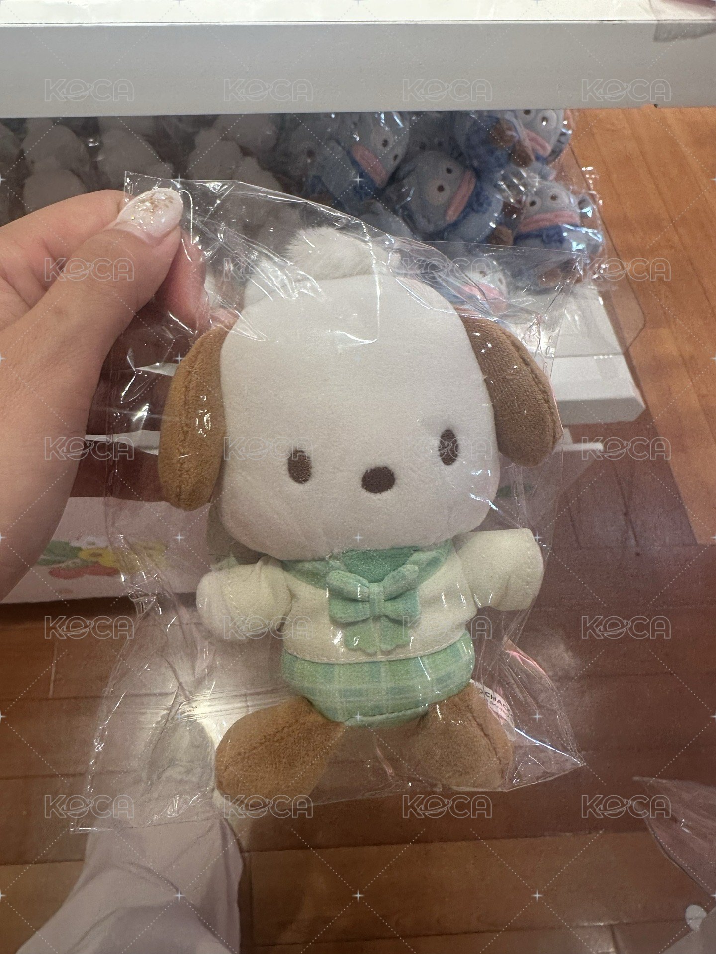 帕恰狗